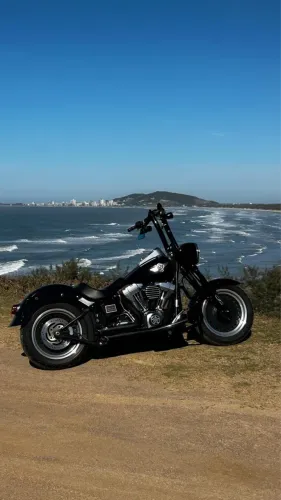 HARLEY-DAVIDSON FAT BOY SPECIAL 2014