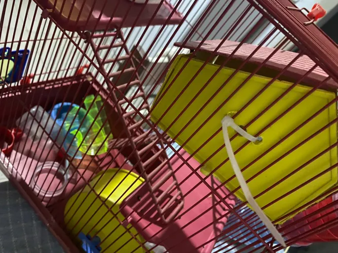 Gaiola para hamster
