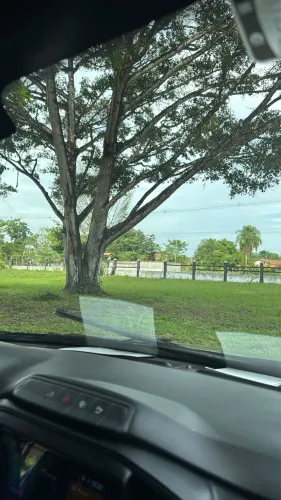 Vendo sítio dentro da cidade
