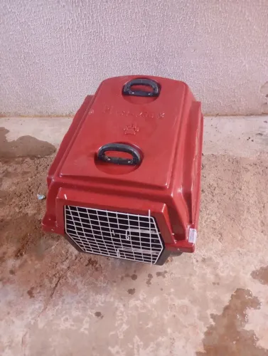 Baú transporte de cachorro 