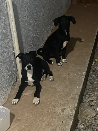 Doação