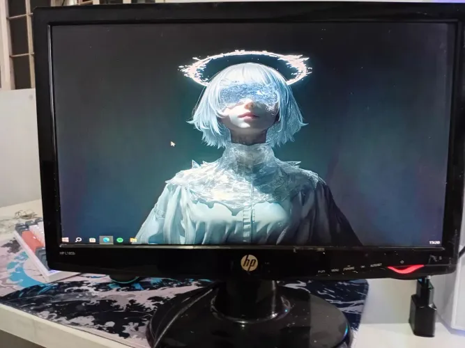 Monitor zerado