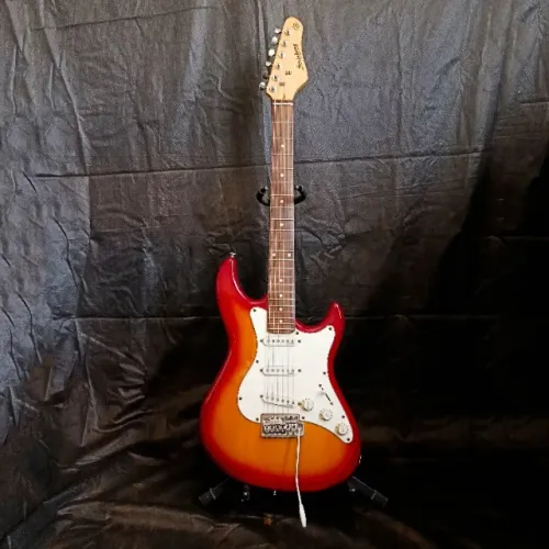 Guitarra Stratocaster Strinberg EGS-216