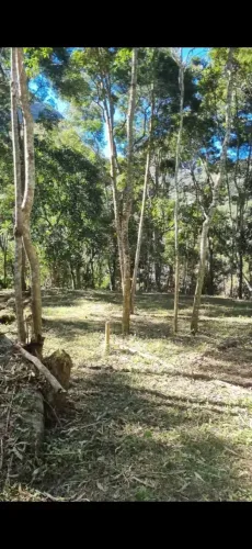 Terreno plano ,com 5008 m², em Araras - Petrópolis/RJ