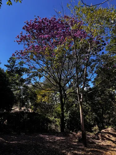 Terreno condomínio Saraiva