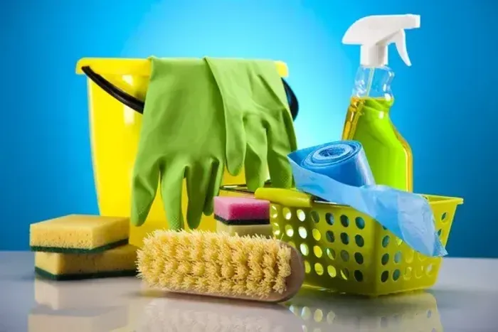 Limpeza Doméstica Completa | Organização e Capricho para sua Casa