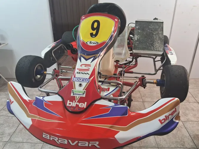 Kart Birel 