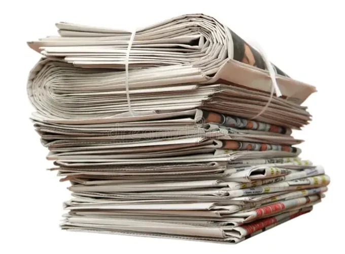 Jornal para pet 20KG