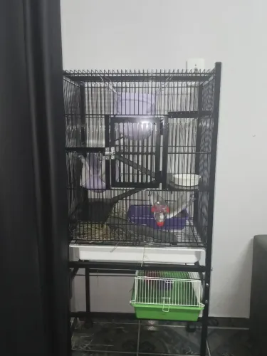 Gaiola Rato Twister