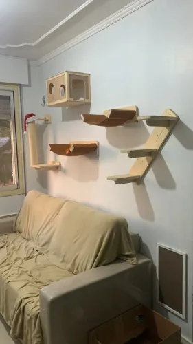 Playgroud gatos