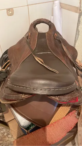 Cela de cavalo 