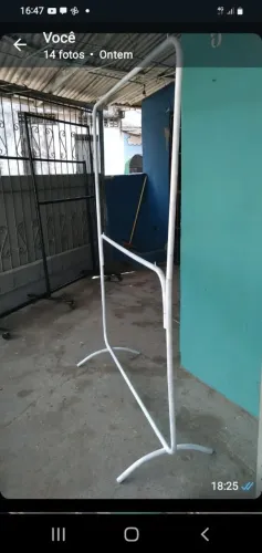 Arara 