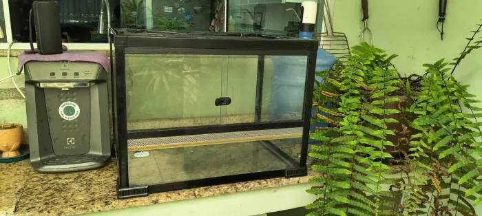 Vendo terrário