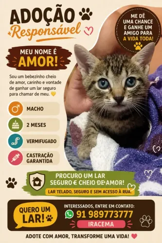 Adoção responsável 