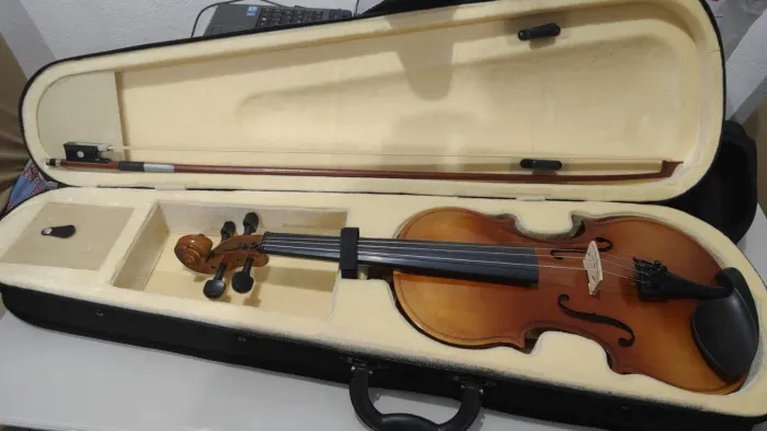 Violino