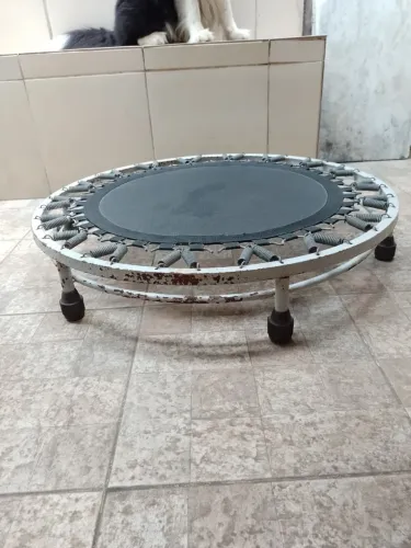 Jump profissional