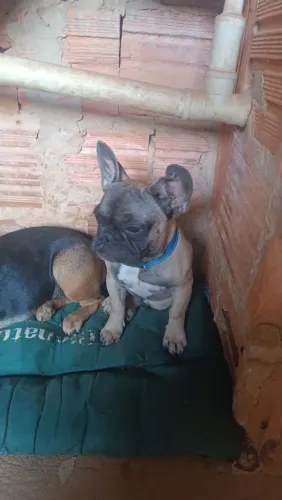 preço oportunidade