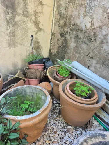 Vasos para plantas