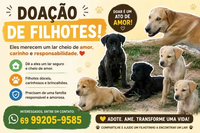 Filhotes vira lata, 3 meses.