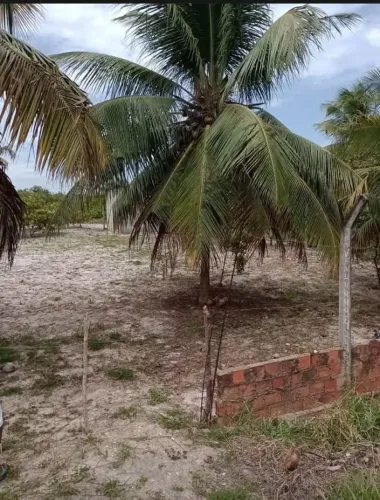 Terreno no interior 