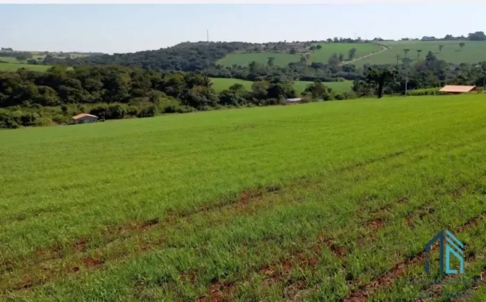 TERRENO URBANO para loteamento de CHÁCARAS 133.100 mts, em TAMARANA - PR