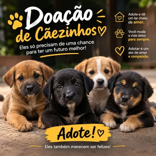 Doação
