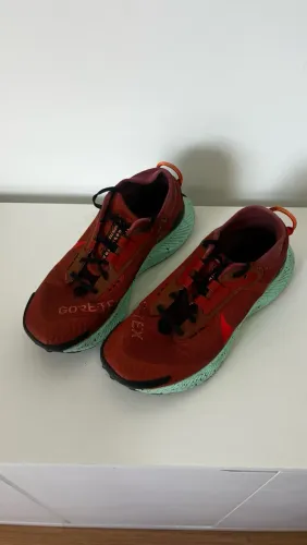 Nike Pegasus Trail