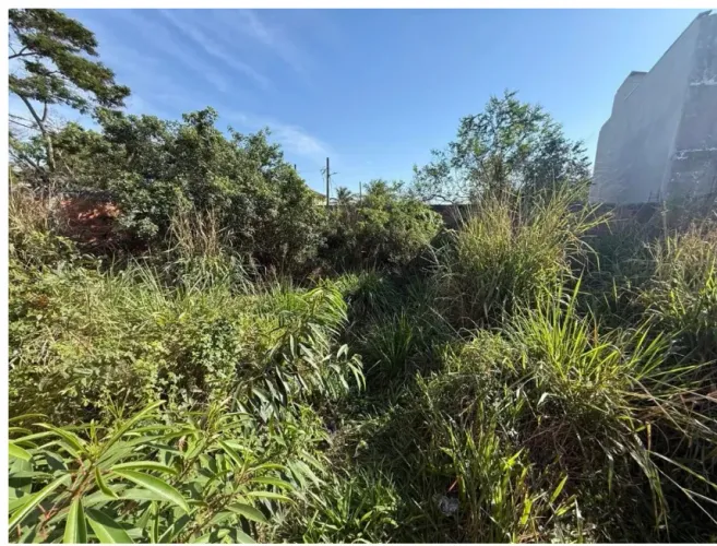 VENDO TERRENO JESUÍTAS 35 MIL REAIS