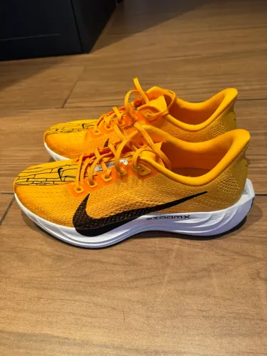 Tênis Nike Original Pegasus Plus TAM 42
