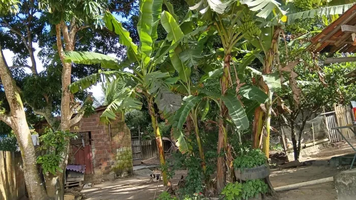 Sítio com duas casas ( LOCALIZADO MITUAÇU )