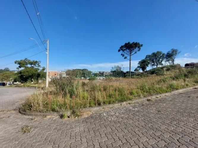 Terreno São Ciro Caxias do Sul