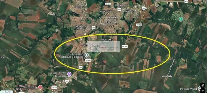 Sítio à venda, Área Rural de Rolândia, Rolândia, PR