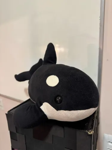 Pelúcia de orca
