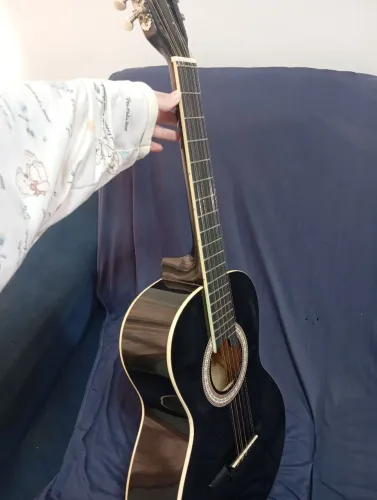 Viola