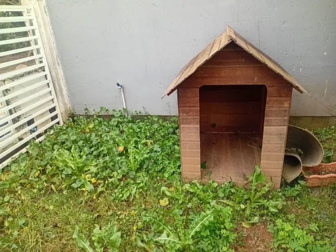 Casa cachorro grande