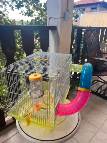 Gaiolas de Hamster