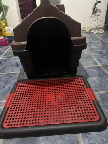 Casinha de Cachorro no Jacintinho