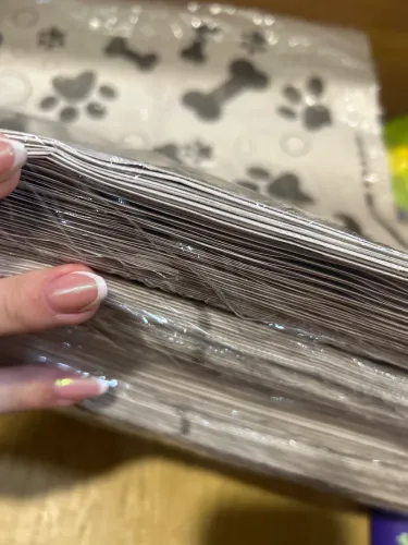 Jornal para cachorro