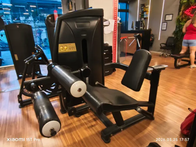 CADEIRA FLEXORA IMPULSE SEMI NOVO