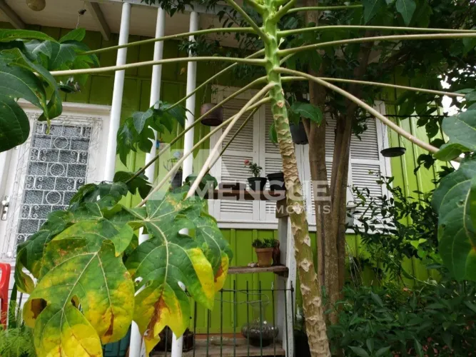 Casa madeira mista com 3 dormitórios e 2 vagas no bairro São Sebastião em Porto Alegre com