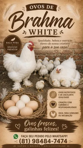 Ovos Férteis