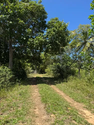 Terreno 432,56 m² em Condomínio Privado 