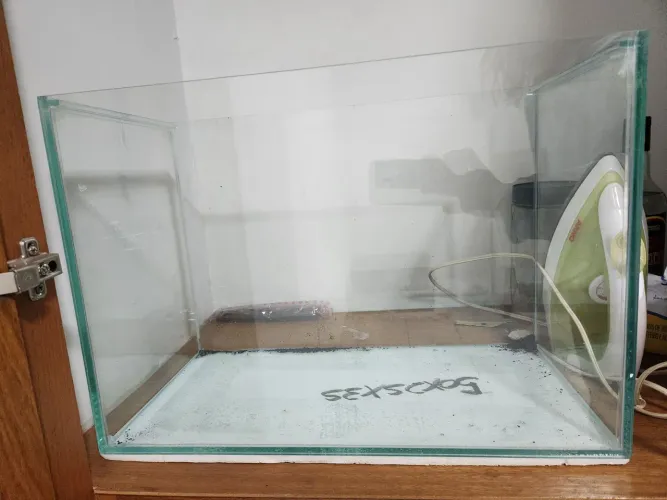 Aquário 42 litros 