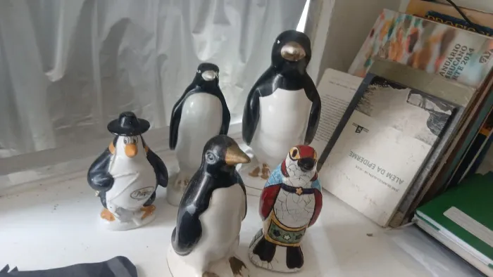 Lote de pinguins