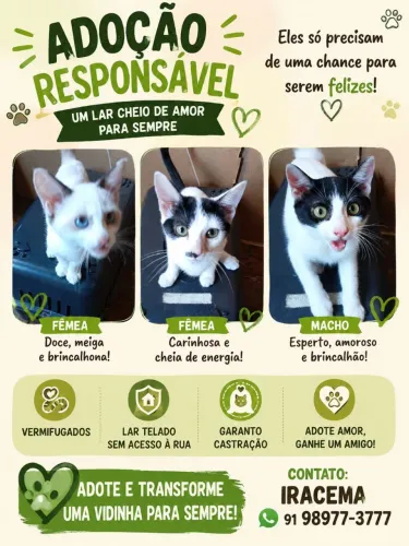 Doação responsável
