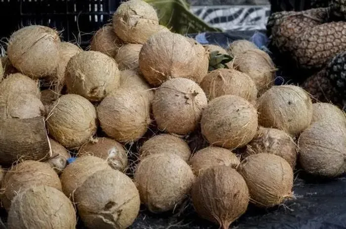  Venda de Cocô seco 2,50 a unidade, venda Apartir de 50 unidades