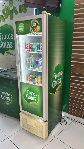 Expositor verdical fricon 284 litros