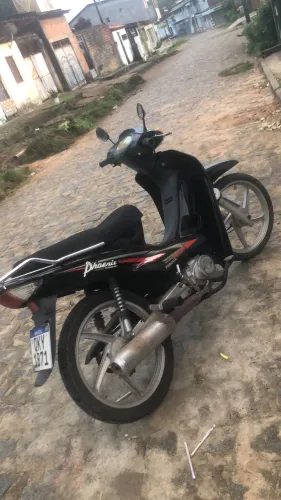 Vendo phoenix gold emplacada pronta pra transferir 