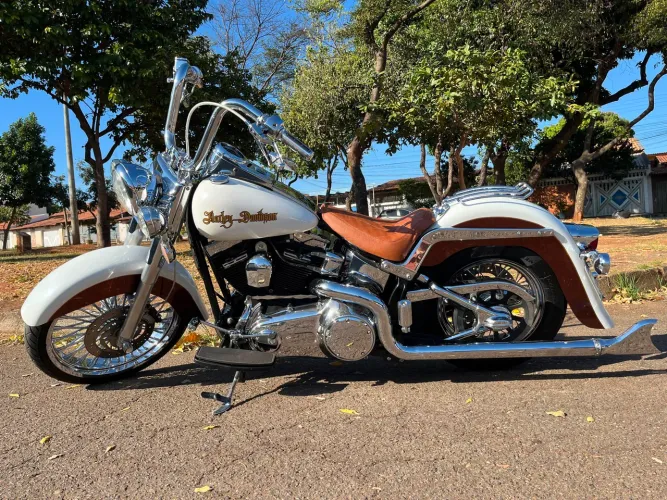 Harley Davidson customizada (chicana)