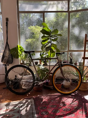 Bicicleta Fixa Peugeot 10 Rat